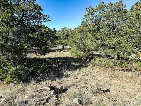 105 Crosstimber Ln, Mosca, CO 81146 photo 10