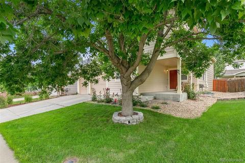 6919 Summerset Ave, Firestone, CO 80504 photo 34