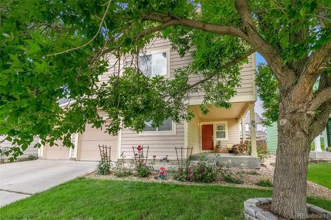 6919 Summerset Ave, Firestone, CO 80504 photo 33