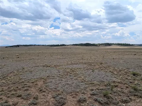 956 Apache Trl, Hartsel, CO 80449 photo 3
