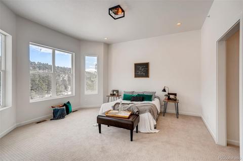158 Jade Ct, Pine, CO 80470 photo 22