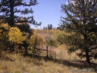 425 Pahaska Way, Como, CO 80432 photo 3