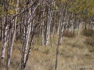 425 Pahaska Way, Como, CO 80432 photo 5