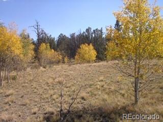 425 Pahaska Way, Como, CO 80432 photo 9