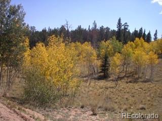 425 Pahaska Way, Como, CO 80432 photo 1