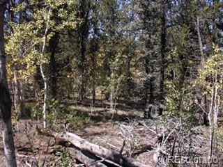 425 Pahaska Way, Como, CO 80432 photo 4