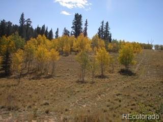 425 Pahaska Way, Como, CO 80432 photo 11