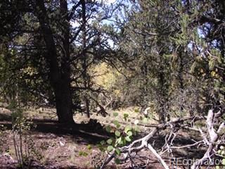 425 Pahaska Way, Como, CO 80432 photo 13