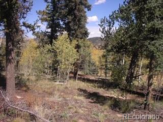425 Pahaska Way, Como, CO 80432 photo 12
