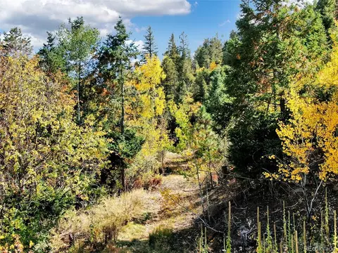 5295 Kulsa Rd, Cascade, CO 80809 photo 22
