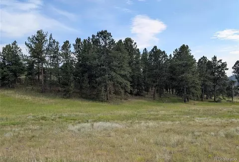 1379 S Mountain Estates Rd, Florissant, CO 80816