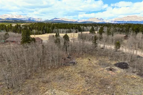 330 Green Bottle Cir, Fairplay, CO 80440