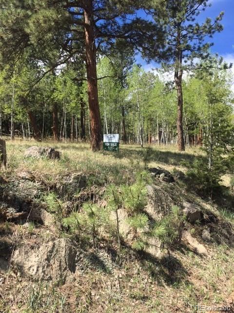 860 Bluebird Ln, Bailey, CO 80421 photo 1