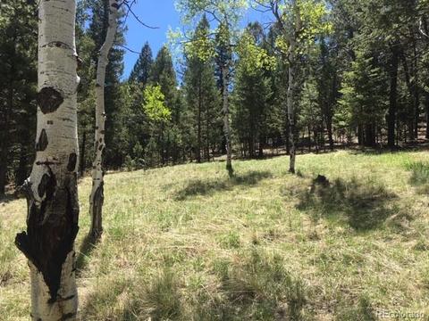 860 Bluebird Ln, Bailey, CO 80421 photo 4