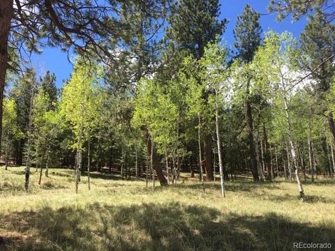 860 Bluebird Ln, Bailey, CO 80421 photo 2