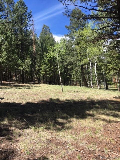 860 Bluebird Ln, Bailey, CO 80421 photo 7