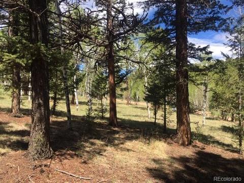 860 Bluebird Ln, Bailey, CO 80421 photo 6