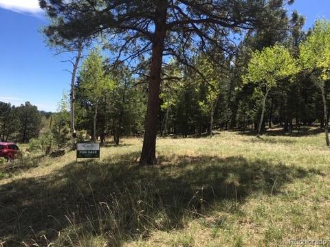 860 Bluebird Ln, Bailey, CO 80421 photo 3