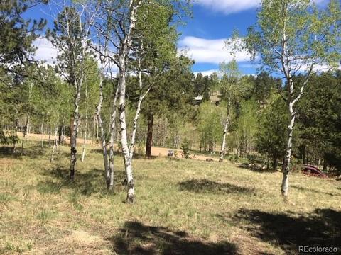 860 Bluebird Ln, Bailey, CO 80421 photo 5