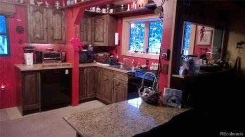 440 Wagon Tongue Rd, Bailey, CO 80421 photo 11