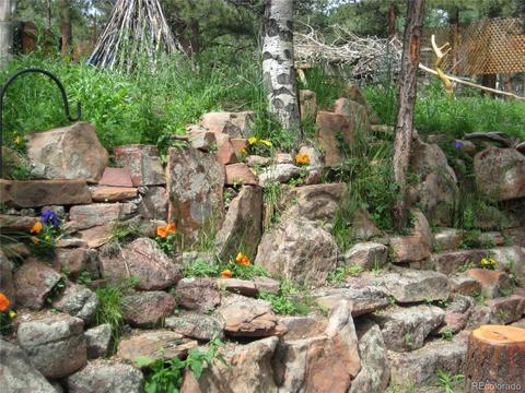 440 Wagon Tongue Rd, Bailey, CO 80421 photo 1