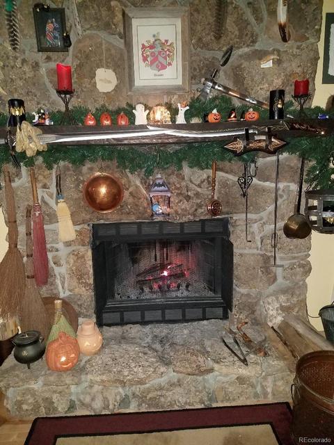 440 Wagon Tongue Rd, Bailey, CO 80421 photo 5