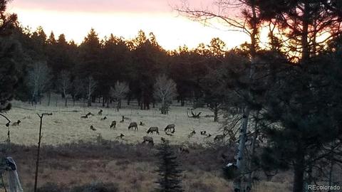 440 Wagon Tongue Rd, Bailey, CO 80421 photo 2