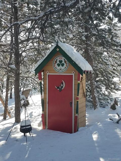 440 Wagon Tongue Rd, Bailey, CO 80421 photo 14