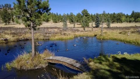 440 Wagon Tongue Rd, Bailey, CO 80421 photo 17