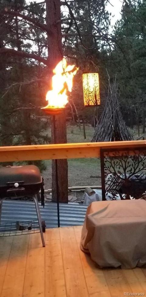 440 Wagon Tongue Rd, Bailey, CO 80421 photo 22