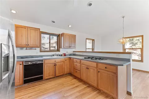 31437 Evans View Ln, Pine, CO 80470 photo 6