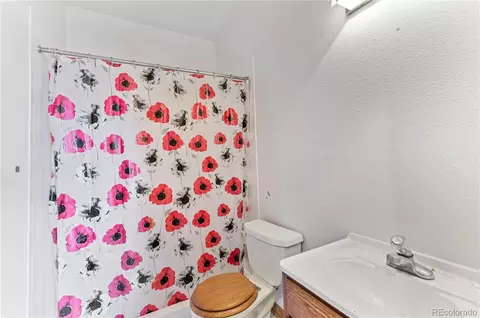 31437 Evans View Ln, Pine, CO 80470 photo 49