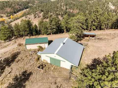 31437 Evans View Ln, Pine, CO 80470 photo 29