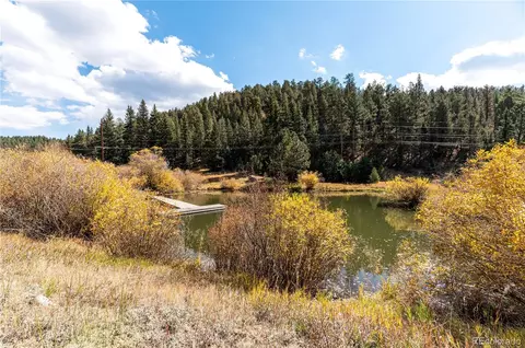 31437 Evans View Ln, Pine, CO 80470 photo 44