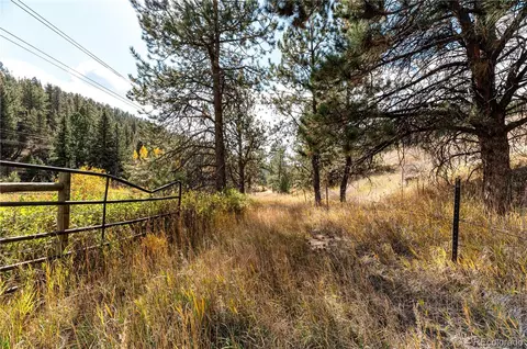 31437 Evans View Ln, Pine, CO 80470 photo 46