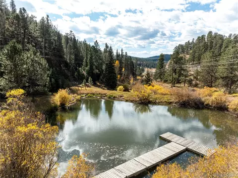 31437 Evans View Ln, Pine, CO 80470 photo 37
