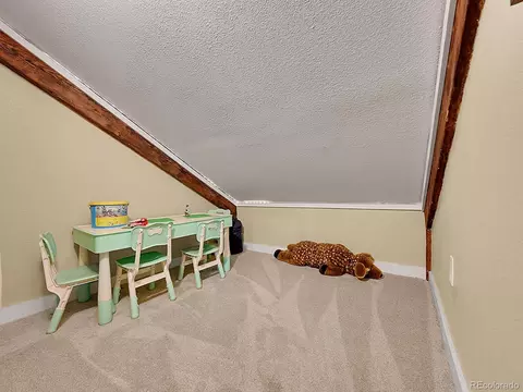 24354 Eagle Cliff Trl, Conifer, CO 80433 photo 23