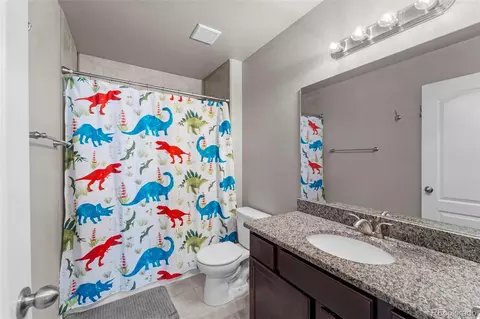 12789 Sunlight Peak Pl, Peyton, CO 80831 photo 23