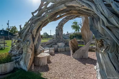 46565 Sunflower Ln, Bennett, CO 80102 photo 15