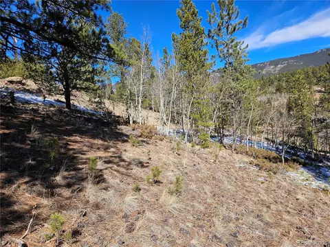 147 Ward St, Bailey, CO 80421 photo 15