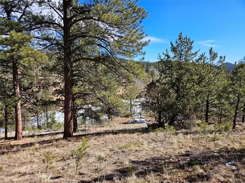 147 Ward St, Bailey, CO 80421 photo 13