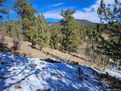 147 Ward St, Bailey, CO 80421 photo 7