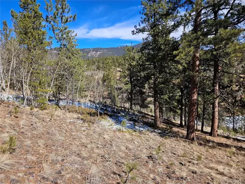 147 Ward St, Bailey, CO 80421 photo 14