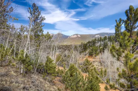147 Ward St, Bailey, CO 80421 photo 8