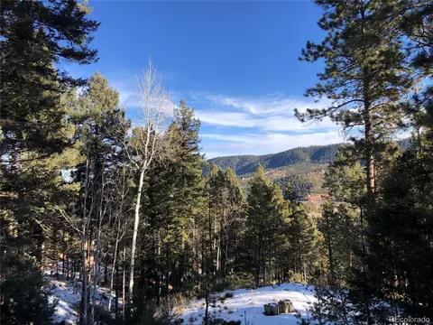 194 Summer Haven Dr, Woodland Park, CO 80863