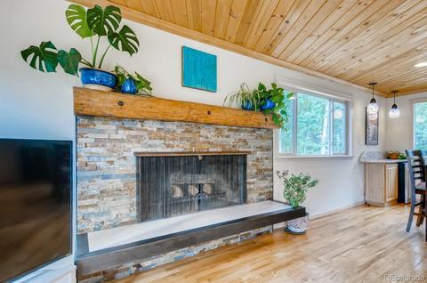 84 Ranch Rd, Ward, CO 80481 photo 23