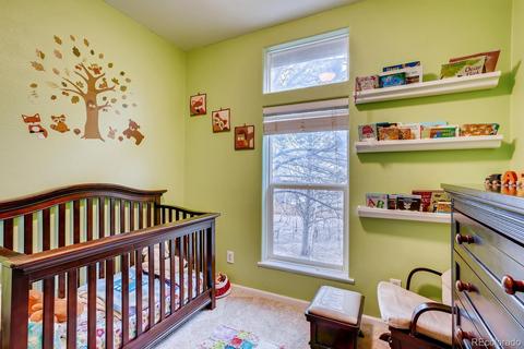 252 Burland Dr, Bailey, CO 80421 photo 18