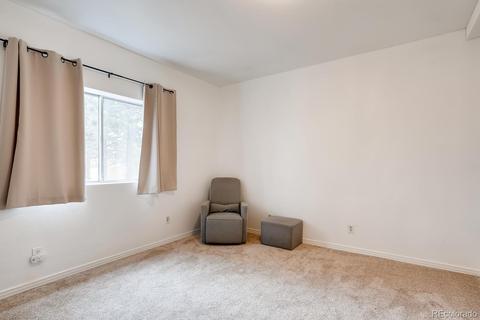 252 Burland Dr, Bailey, CO 80421 photo 21