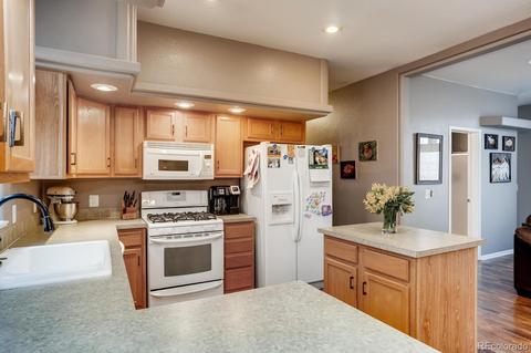 252 Burland Dr, Bailey, CO 80421 photo 10