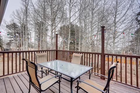 252 Burland Dr, Bailey, CO 80421 photo 24